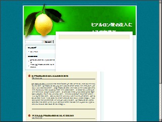 Web site www.giantc.com, Giant C
